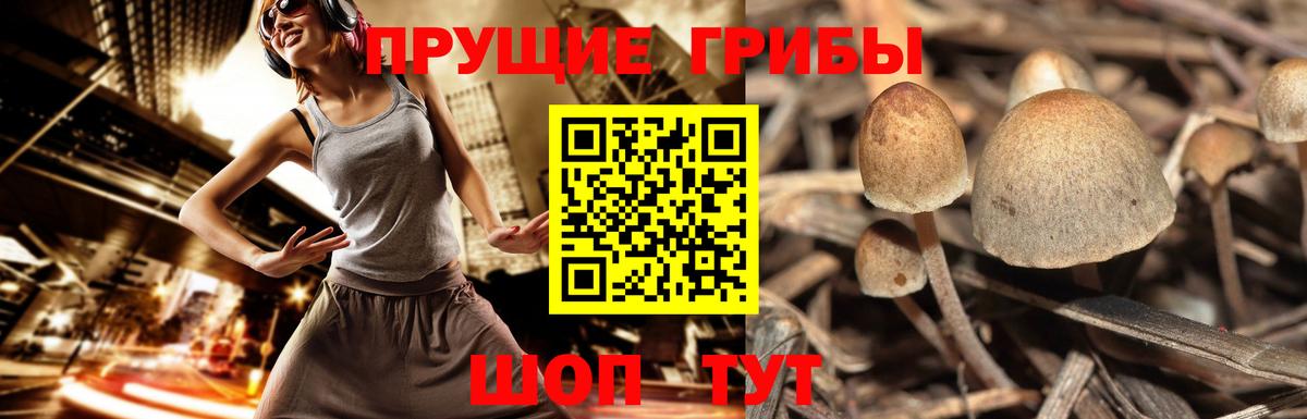 Назарово  Псилоцибиновые грибы мухоморы  Вход с VPN  Галлюциногенные грибы MAGIC MUSHROOMS 